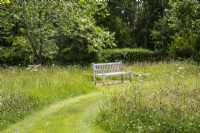 Wooden seat in the wildflower meadow at Morton Hall Gardens with a mown curved path.