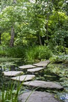 Stepping stones in the Stroll Garden pond at Morton Hall Gardens