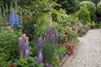 Summer mixed border in the Kitchen Garden at Morton Hall with lupins, heuchera, roses and delphiniums and a brick-edged gravel path.