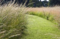 Mown grass pathway through ornamental grass borders in summer.
