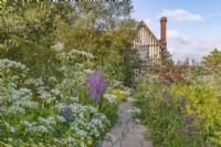 View of a mixed planting of perennials in informal country cottage garden double border in Summer with stone path and house - May