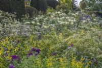 View of a mixed planting of perennials in an informal country cottage garden border in Summer - May