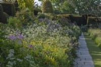 View of a mixed border in an informal country cottage garden in Summer - May