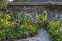 View of collection of terracotta pots filled with shrubs, perennials and annuals on a stone paved patio in an informal enclosed country cottage garden in Summer - May