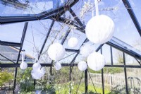 Hanging paper pom poms in greenhouse