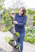 Woman using small pot as a cane topper for the herb tower