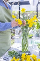 Woman arranging daffodils in glass vase