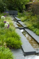 Rill leading from feature waterfall with herbaceous plants on both sides - Open Gardens Day, East Bergholt, Suffolk