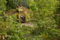 Naturalistic planting and trees surrounding a demolished house representing the homeless in the Centrepoint Garden designed by Cleve West, a show garden at the RHS Chelsea Flower Show 2023.