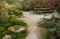 Angelica archangelica and Saxifraga umbrosa around a water filled bowl and path leading to a picnic table in the Nurture Landscapes Garden, a show garden designed by Sarah Price at the RHS Chelsea Flower Show 2023, London, UK, May