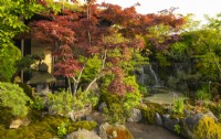Acer trees around a small house and waterfall in The Biophilic Garden Otsu - Hannare designed by Kazuyuki Ishihara, a Sanctuary Garden at the RHS Chelsea Flower Show 2023