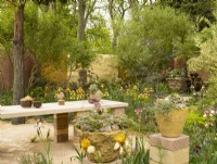 Succulents in containers and Benton Irises in the Nurture Landscapes Garden, a show garden designed by Sarah Price at the RHS Chelsea Flower Show 2023