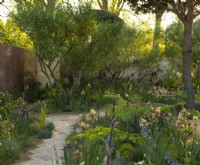 Benton Irises in the Nurture Landscapes Garden, a show garden designed by Sarah Price at the RHS Chelsea Flower Show 2023