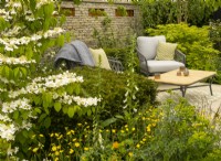 A seating area surrounded by Taxus baccata, Viburnum opulus, Rununculus repens and a stone wall in the RSPCA Garden a sanctuary garden designed by Martyn Wilson at the RHS Chelsea Flower Show 2023