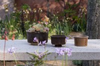 A pot of Sempervivum sp on the garden table.The Nurture Landscape Garden, Gold winner Designer: Sarah Price
