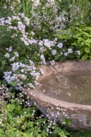 A hand made water bowl surrounded by Saxifraga umbrosa/urbium, Geum rivale, Rosa 'Arvensis' and ferns.The Nurture Landscape Garden, Gold winner Chelsea 2023. Designer: Sarah Price