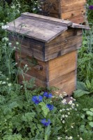 Wooden bee hives surrounded by wildflowers including Centaurea cyanus.