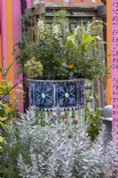 An old oil drum overflowing with flowers, herbs and vegetables including: Verbascum phoeniceum 'Flush of White, Sweet corn and Nepeta, The RHS community garden: Eastern Eye Garden of Unity, Designer: Manoj Malde