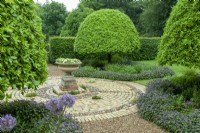 Viburnum tinus trees clipped to shape in beds of perennials bordered by Purple Sage - Salvia officinalis 'Purpurascens' - with ornamental circle of brick and stone construction and planted urn - Open Gardens Day, Waldringfield, Suffolk