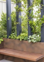 Rooftop garden with plant container with supports and integral bench, summer June