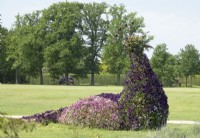 Peacock made with violets and iron pieces as hugh ornament in the Castle gardens of Arcen.