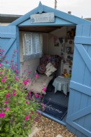 Summerhouse converted from a garden shed, painted blue and simply furnished with pink Salvia microphylla bordering gravel path - Open Gardens Day, Copdock, Suffolk