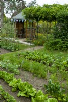 Vegetable garden with distant gazebo - Open Gardens Day, Copdock, Suffolk