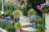 Courtyard patio with steps to lower level, container planting and hanging basket - Open Gardens Day, Coddenham, Suffolk