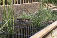 Water feature made from recycled oil sumps and planted with Equisetum ramosissimum and Juncus effusus f. spiralis - The 3D Gardener Path of Renewal - BBC Gardeners' World Live 2023, NEC Birmingham - Designer David Negus