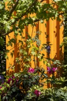 Metal corrugated roofing sprayed orange and repurposed as a fence with pink rhododendrons and other planting in front - The 3D Gardener Path of Renewal - BBC Gardeners' World Live 2023, NEC Birmingham - Designer David Negus