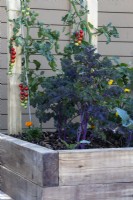 Tomatoes and kale in a raised bed made of wooden sleepers - The Chic Garden Getaway - BBC Gardeners' World Live, Birmingham NEC - Designer Katerina Kantalis