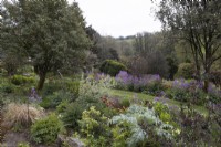 Herbaceous borders with trees in the background. Marwood Hill gardens, Devon. May. Spring. 