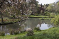 A grassy bank leads down to a large lake with a wooden bench beside it. Various trees in the background. Marwood Hill gardens, Devon. Spring. May. 