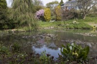 The view accross the Upper Lake, Marwood Hill gardens, Devon. Spring. May. 