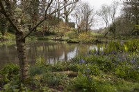 View across the Upper Lake. Marwood Hill gardens, Devon. Spring. May. 