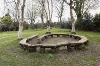 A rustic bench in a spiral shape in the middle of a circle of birch, Betula ermanii, trees. Marwood Hill Gardens. Spring. May. 