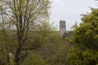 A view above trees with varying degrees of emerging spring foliage to a church tower. Marwood Hill Gardens. Spring. May. 