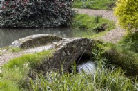 A curving path leads over a small stone humpbacked bridge with a waterfall emerging from under the bridge. Marwood Hill Gardens. Spring. May. 