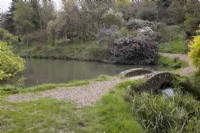 A curving path beside a lake leads over a small stone humpbacked bridge with a waterfall emerging from under the bridge. Marwood Hill Gardens. Spring. May. 