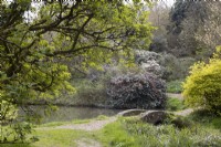 A curving path leads over a small stone humpbacked bridge. Marwood Hill Gardens. Spring. May. 