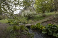 A view up a small valley with a stream and wooden bridge over the stream and paths leading over the bridge and up a slope. Trees with varying degrees of spring foliage emerging are dotted around. Marwood Hill Gardens. Spring. May. 