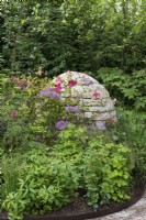 A stone cairn immersed in a border with Rosa x odorata 'Mutabilis' and Thalictrum 'Black Stockings', meadow rue. Design Harris and Bugg, Chelsea Flower Show 2023.