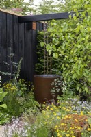 A rain chain and barrel is tucked away amongst wildlife friendly perennials, beside a garden building.