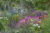 View of mixed perennials border in an informal country cottage garden in Summer - June