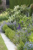 Border of blues and yellows in June at Milton Lodge Garden in Somerset