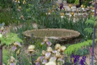 A still water bowl, cast from waste aggregrate, is surrounded in Benton irises bred by Cedric Morris, a great British plantsman.