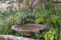 A still water bowl, cast from waste aggregrate, is surrounded in Benton irises bred by Cedric Morris, a great British plantsman, and Rosa 'Nozomi' is reflected in the water.