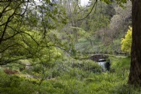 A stone humpbacked bridge with a waterfall emerging from beneath it at the end of a lake in a woodland garden with trees and shrubs and varying degrees of spring foliage emerging. Marwood Hill Gardens. Devon. Spring. May.