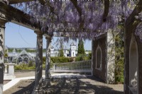 Large curving pergola with wisteria growing profusely over it and statues in alcoves. Trago Mills show gardens, Devon, UK. May. Spring