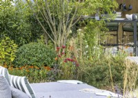 Terrace garden with perennials and shrubs, summer July